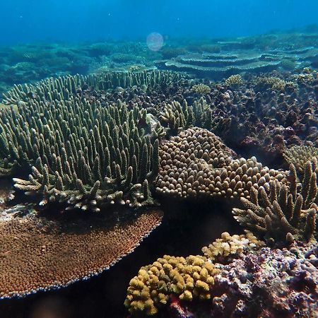 Fiji Lodge Vosa Ni Ua سافوسافو المظهر الخارجي الصورة