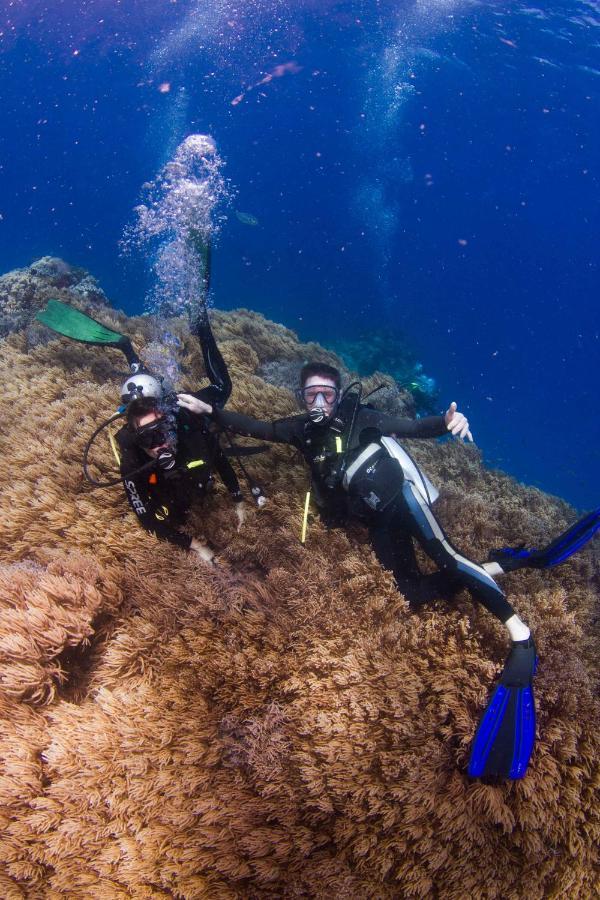 Fiji Lodge Vosa Ni Ua سافوسافو المظهر الخارجي الصورة